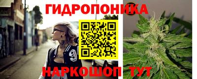 PSILOCYBIN Заводоуковск