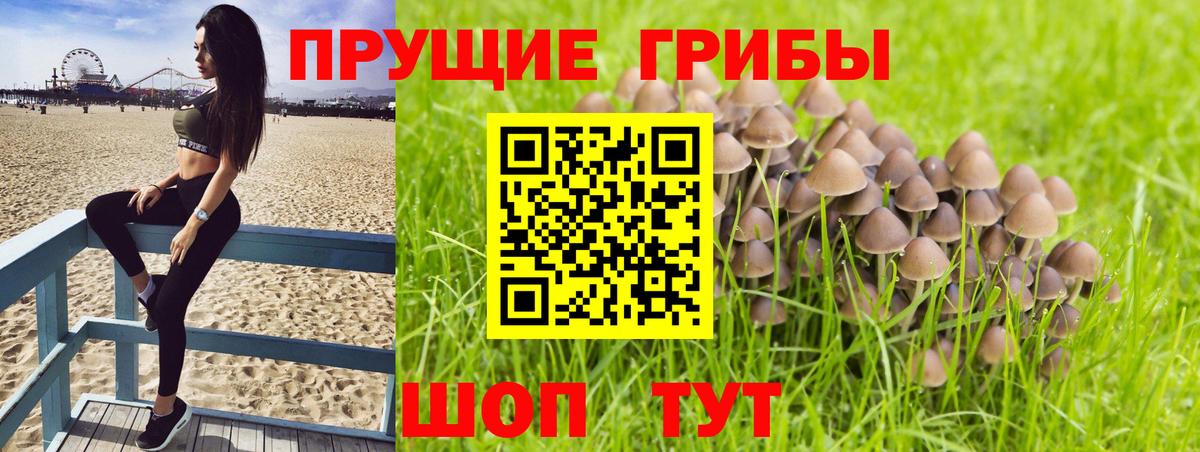 Псилоцибиновые грибы мицелий  Псилоцибиновые грибы ЛСД  Вход с VPN  закладки  Кировск 
