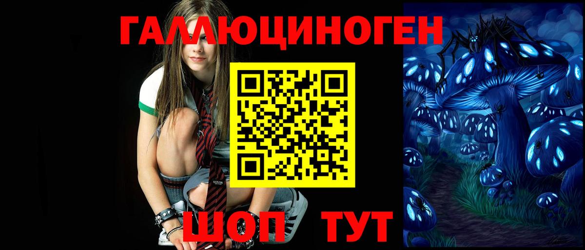 Псилоцибиновые грибы прущие грибы Кировск